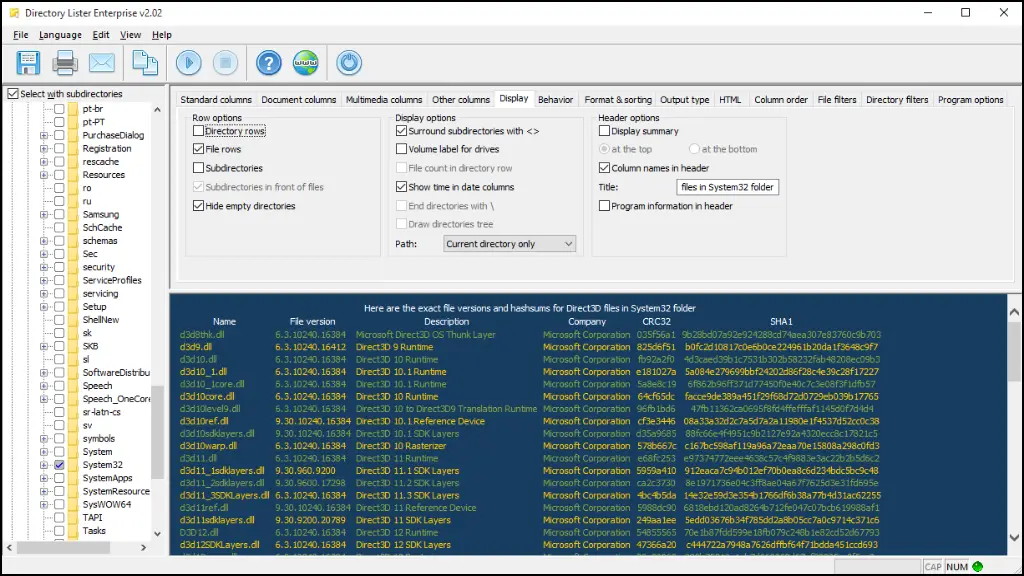 Directory Lister Pro Grátis Ativador Crackeado